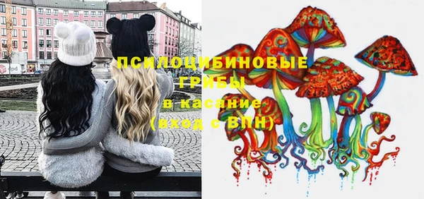 хмурый Ступино