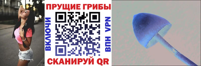 Галлюциногенные грибы Magic Shrooms  Снежинск 